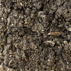 Soil from the Le Dessus du Bois Marie Vineyard
