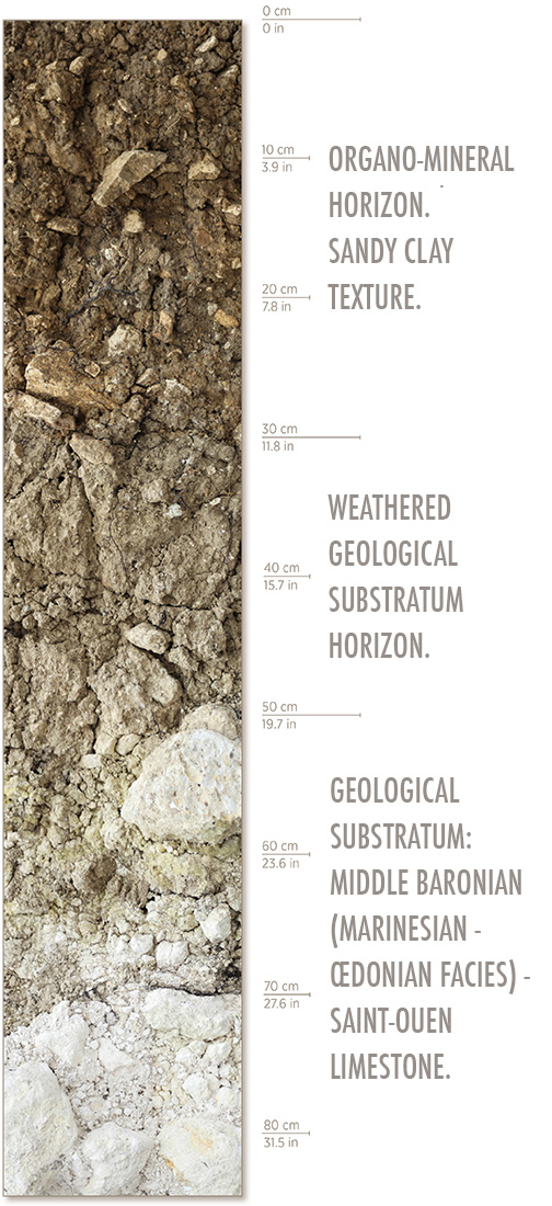 A breakdown of the Les Hautes Vignes Vineyard soil from 0 to 80 centimeters depth.